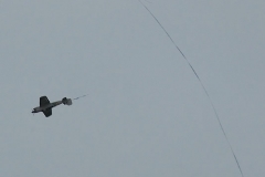 aircombat-016