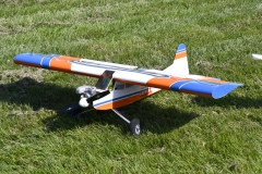 DSC1269